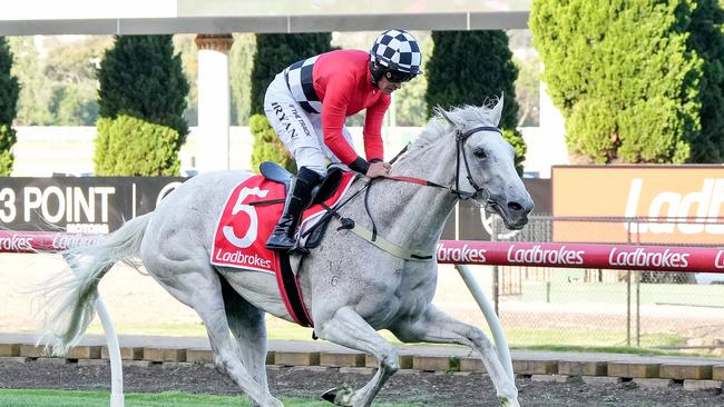 Queen Takes King winning at The Valley earlier this month. Picture: George Salpigtidis/Racing Photos via Getty Images