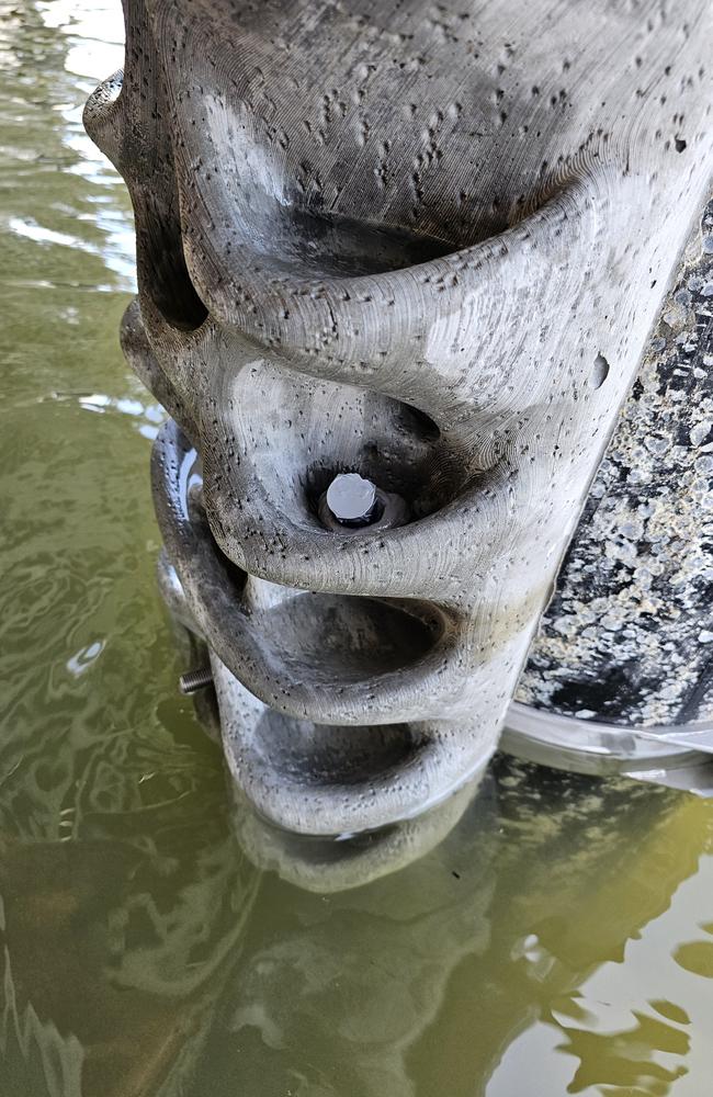 Concrete 'wraps' have been attached to pylons under the boardwalk on Ross Creek as part of an effort to provide habitat to oysters, mussels, and more. Single use only, no archiving.