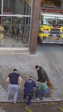 Firefighter rushes to rescue choking baby