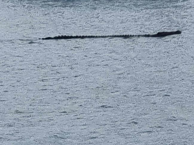 The huge croc seen swimming near Airlie Beach this week. Picture: DES Queensland