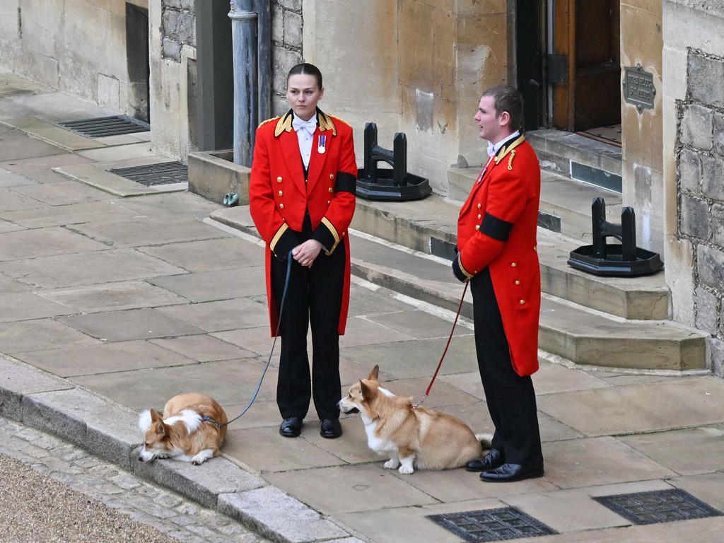 The Queen's corgis, Muick and Sandy are walked inside Windsor Castle. Picture: AFP