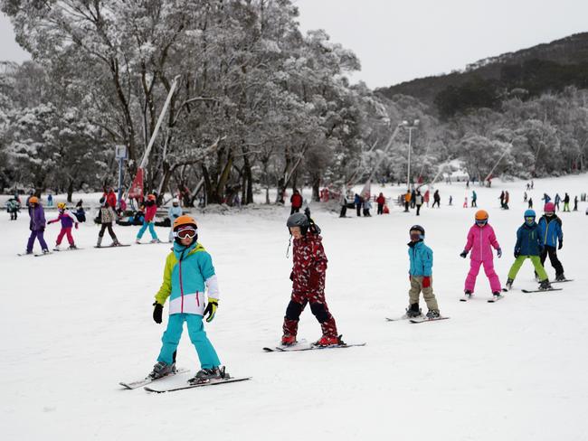 Orderly lines at a kids’ ski class