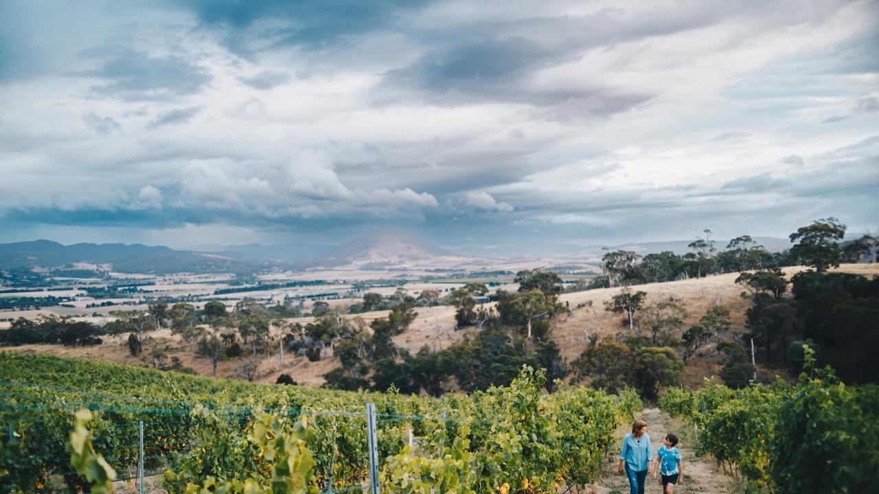 Caledon owner Karen Stewart inspects the vines with son, Will.