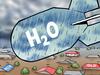 Mark Knight cartoon on 'rain bomb' hitting NSW and Qld. For Kids News