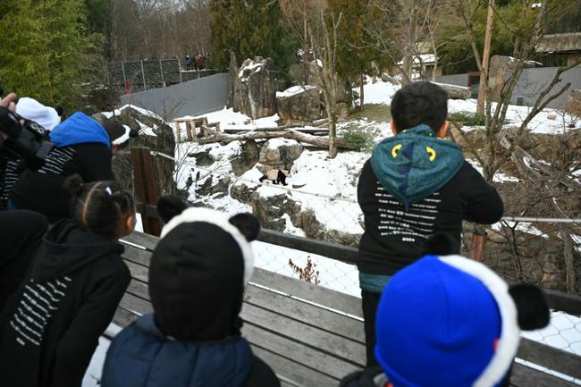 Children welcomed the new pandas to Washington