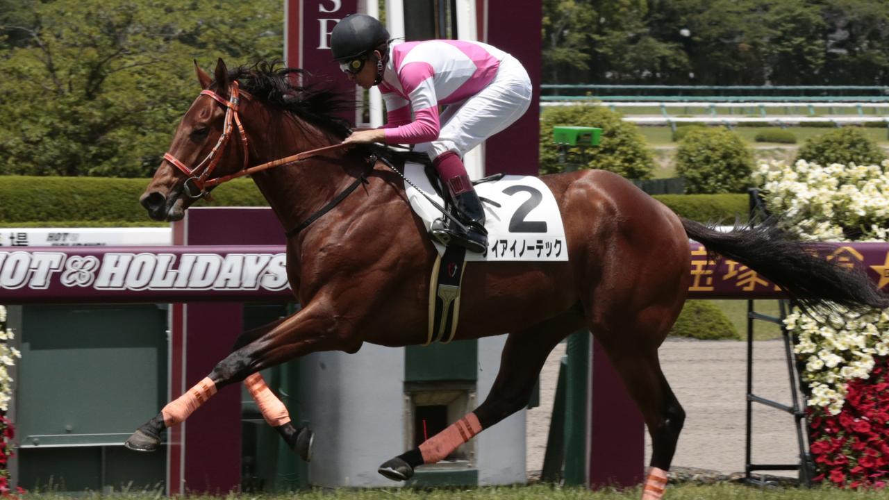 Horse Racing At Hanshin Racecourse