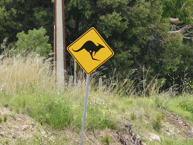 A Kangaroo sign (AAP Image/Morgan Sette)