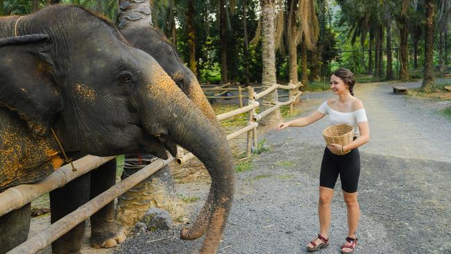 Visiting an elephant sanctuary in Thailand could be on your Christmas radar.