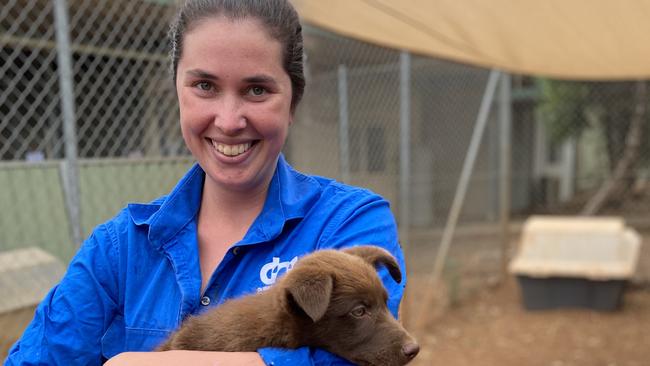 Dubbo City Animal Shelter coordinator Kirra Larkin. Picture: Ryan Young