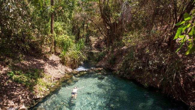 <p><span>6/16</span></p><h2>This may look like a cenote in Mexico ...</h2><p>But it's actually the Mataranka thermal pool, near Katherine in the Northern Territory. You'll find them in the Elsey National Park. It is safe to swim here and the springs are a perfect 34 degrees celsius year &lsquo;round. Word to the wise: the rest of the National Park waterways are crocodile habitat, so no swimming. Photo: Tourism Australia</p>