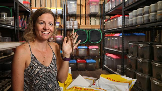 Minibeast Wildlife co- owner Deanna Henderson with some of the parcels of spiders and insects that they send from Kuranda all over Australia. Picture: Anna Rogers