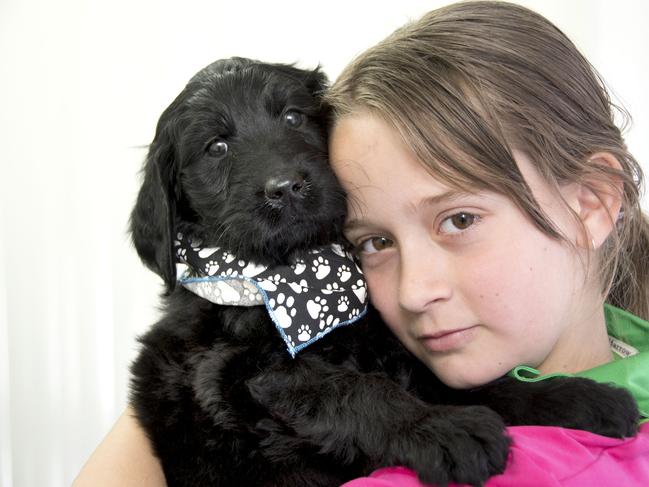 thats been temperament tested out of a litter to be a therapy dog for kids who are being removed from their homes. Esther Wright .