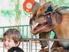 ‘Beware’: Consumer warning for Darwin Dinosaur Festival