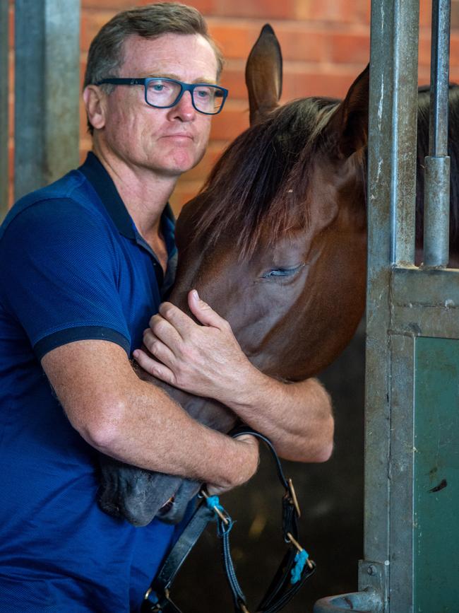 Trainer David Vandyke flew in the cargo hold to Melbourne with Alligator Blood. Picture: Jay Town