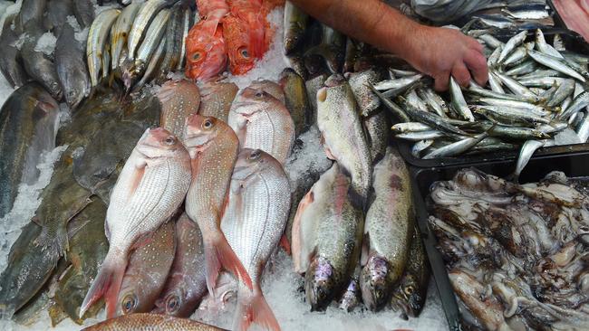 A selection of fish from Prahran Seafoods. Picture: Josie Hayden