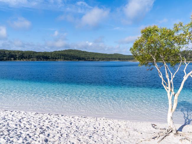 ‘Time has stood still’: Tour company fined $250k for student drownings