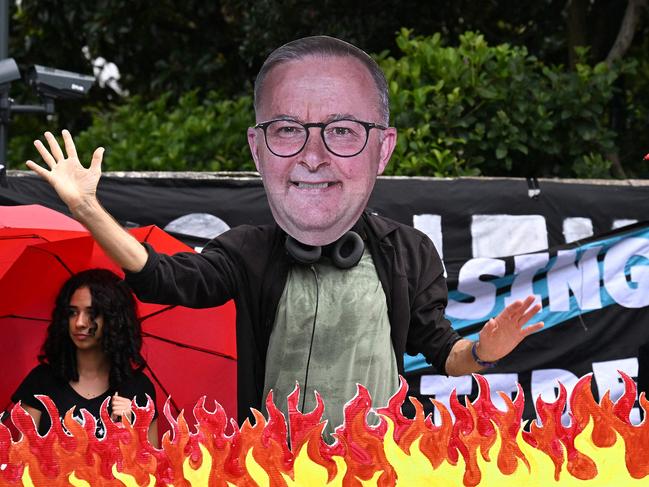 An environmental activist wearing a cardboard cutout showing the face of Australia's Prime Minister Anthony Albanese is seen during a protest rally in front of Kirribilli House, the official residence of the Australian Prime Minister, in Sydney on May 8, 2024, calling for the Albanese government to halt further approvals of coal and gas projects. (Photo by Saeed KHAN / AFP)