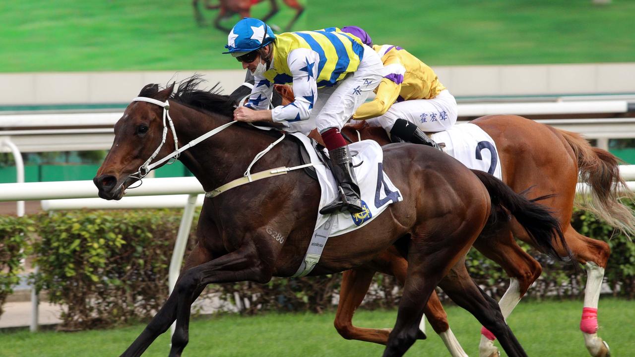 Five G Patch has won twice over 2000m at Sha Tin. Picture: HKJC