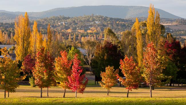 Armidale’s beautiful landscape comes into its own during Autumn.