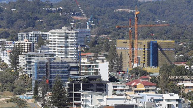 Cranes at Palm Beach. Picture: Glenn Hampson.