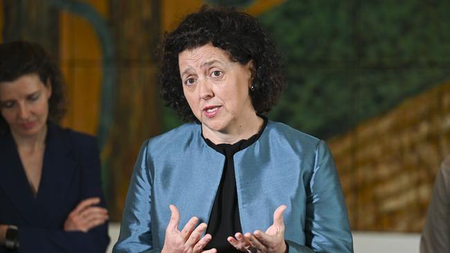 Monique Ryan. Picture: NewsWire / Martin Ollman