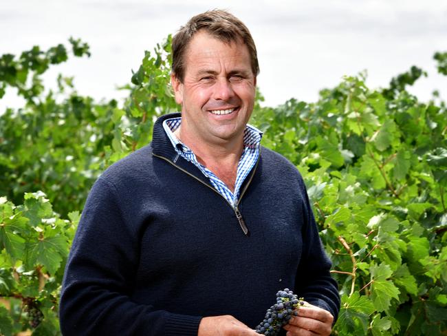 Wine exports plummet as China effect takes hold
