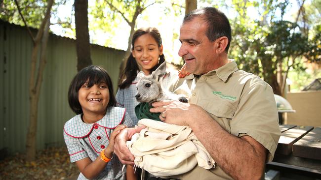 Featherdale education officer Louie Vassallo with Parramatta Public School students Raya 7, and Shreya 8, pat Bambi in October 2017. Picture: Justin Sanson