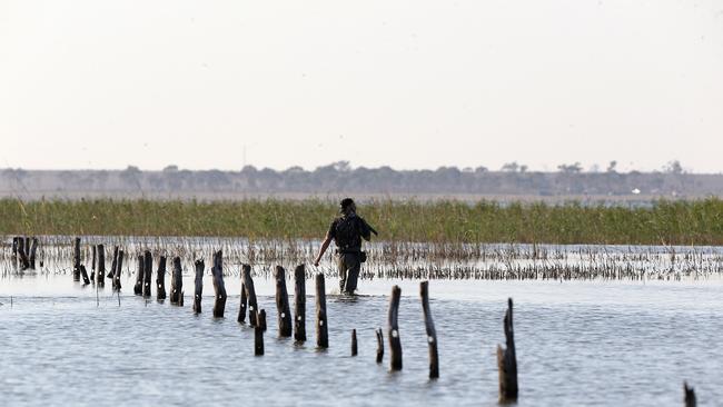 Duck hunters want the season extended to offset the Covid-19 lockdown. Picture: Yuri Kouzmin