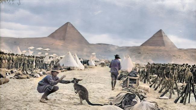 An Australian soldier playing with the regimental kangaroo at the camp in sight of the pyramids at Giza.