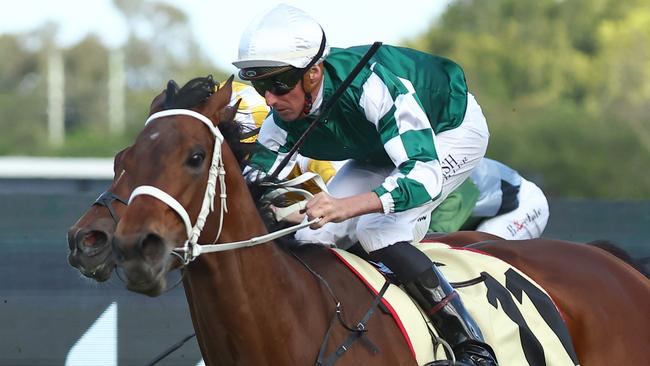 Nash Rawiller is chasing his first Sydney title in more than a decade. Picture: Jeremy Ng/Getty Images