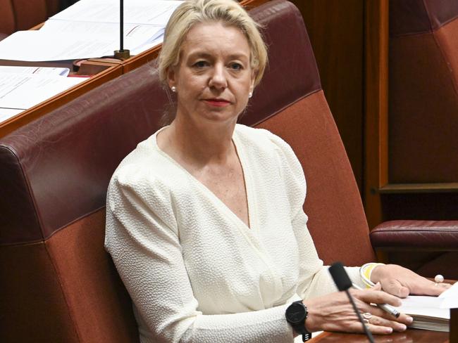 Senator Bridget McKenzie says Labor is ‘panic spending’ on infrastructure after the Werribee by-election. Picture: Martin Ollman