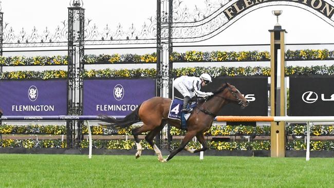 Fancify is looking to continue her winning run in the Eye Liner Stakes on Saturday. Picture: Ross Holburt — Racing Photos via Getty Images.