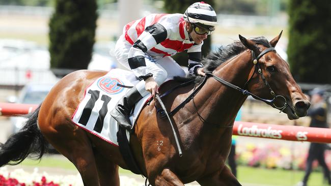 Ben Melham ducked back to the fence to win the Crockett Stakes on Broadwayandfourth. Pic: Micheal Klein