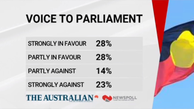 The majority of those surveyed supported the Voice. Picture: Sky News Australia