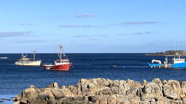 King Island. Picture: Supplied