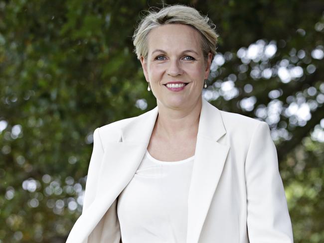 A reader poll voted Tanya Plibersek as preferred Labor leader. Picture: Adam Yip