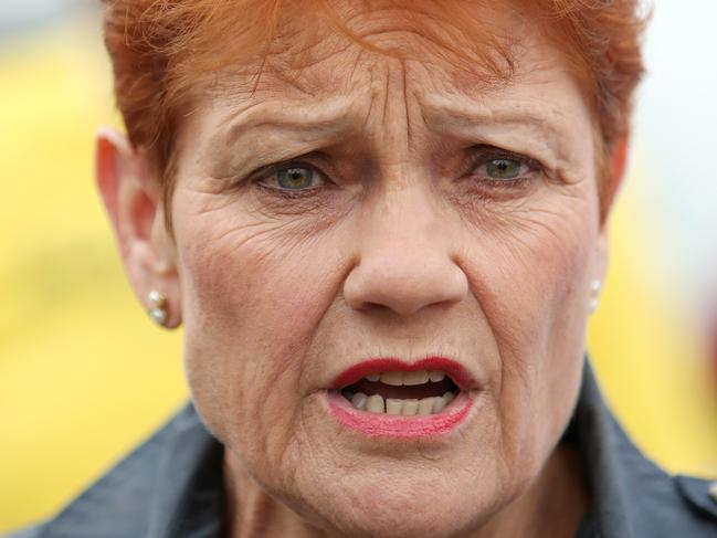 SATURDAY TELEGRAPH - Pictured outside a pre polling booth in Singleton today is One Nation Leader Pauline Hanson to support Local One Nation Candidate Dale McNamara for the Upper Hunter By Election. Picture: Tim Hunter.