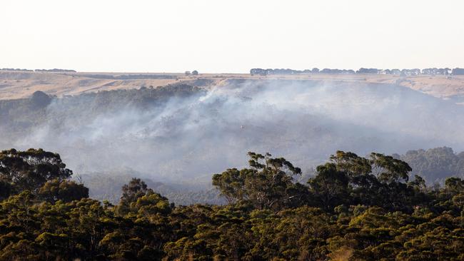 Powercor Ltd pleaded guilty to causing a grassfire in Glenmore due to a lack of maintenance on their powerlines. Picture: Mark Stewart