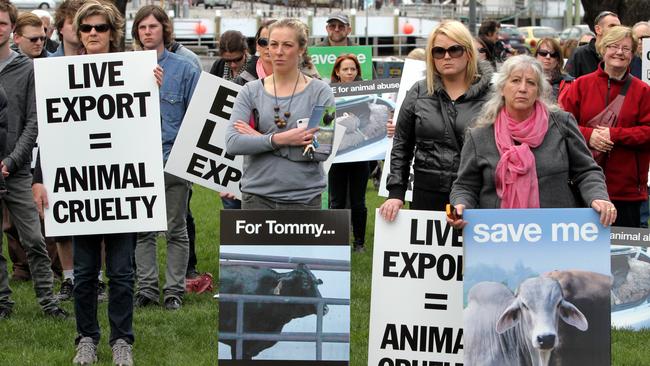 Animal welfare activists protest on Parliament House Lawns in Hobart calling for an end to live cattle exports.