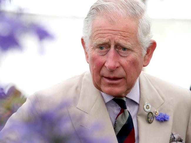 Prince Charles said decisive action must be taken to save marine life. Picture: Getty.