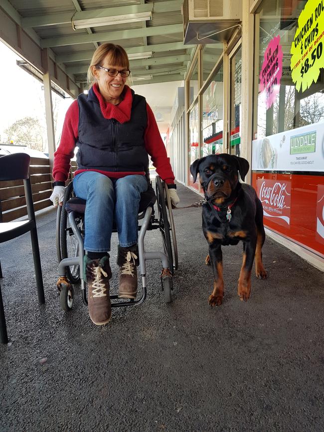 The Weekly Times Day of Dogs 2018 #dayofdogs18 Suzi Duncan from Whittlesea sent in this picture of her 13-month-old Rottweiler, Simma. She says Simma not only helps her down the street and at the market but also helps with the farm work by taking over the tractor. 