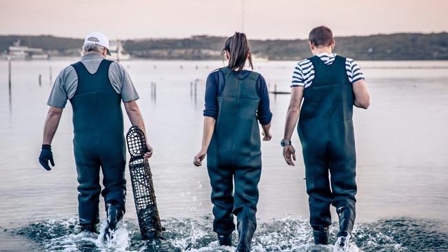 Oyster Farm tours_SATC: Patrons on an Oyster Tour at Coffin Bay during a cruise on the Coral Adventurer. Picture Jonathan van der Knaap