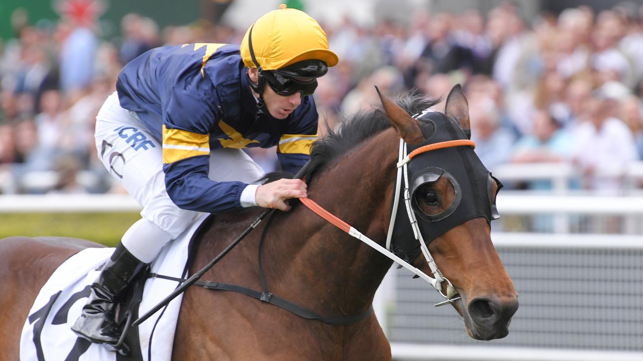 Spring racing carnival: Experts pick their budding stars to watch ...