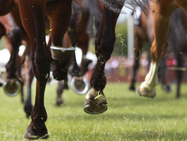 Magic Millions race postponed to January 17