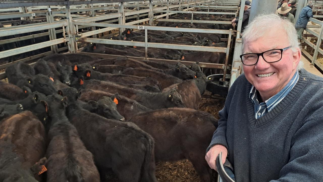 Light calves make more than expected at Wodonga