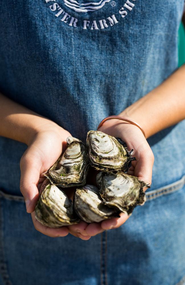 The Oyster Farm Shop on Kangaroo Island. Picture: Josie Withers