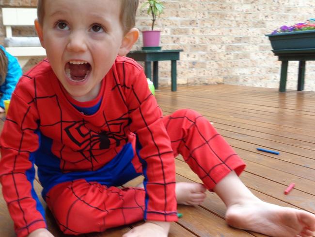 The last photograph taken of William Tyrrell an hour before he was abducted.