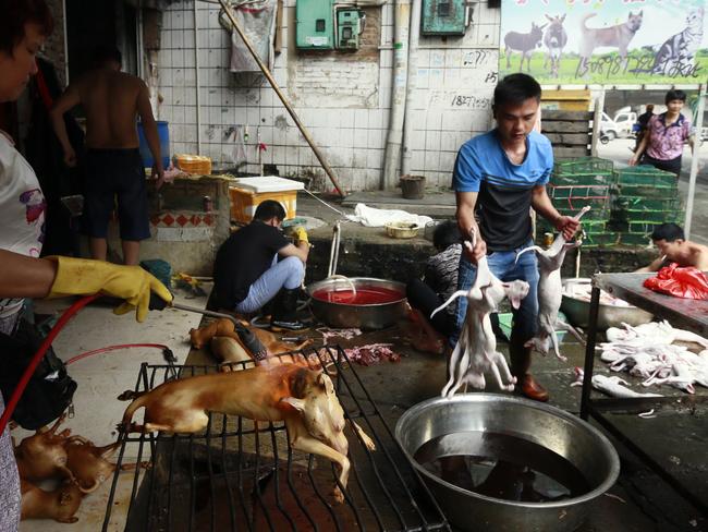 Canine corpses are prepared in bloody, unsanitary conditions. Picture: Humane Society International