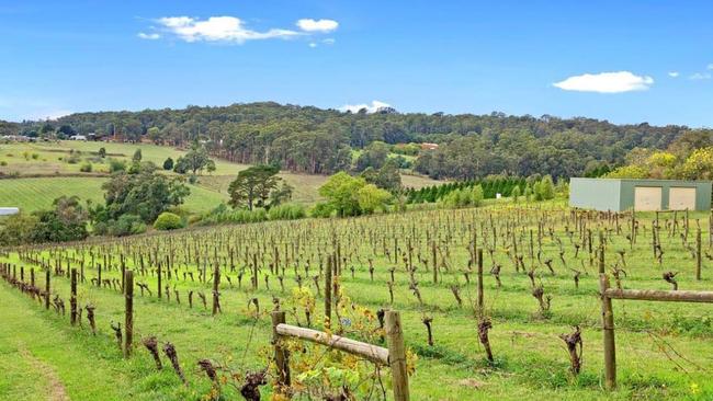 It also has a 4.7ha cool climate vineyard.