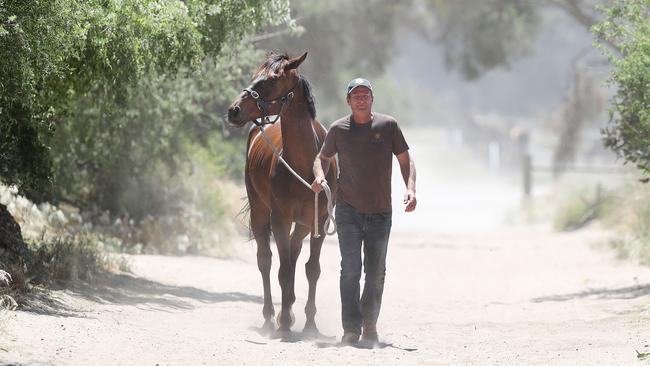 trainer Paul Preusker with his Melbourne Cup runner Surprise Baby at his Horsham property. Picture: Micheal Klein